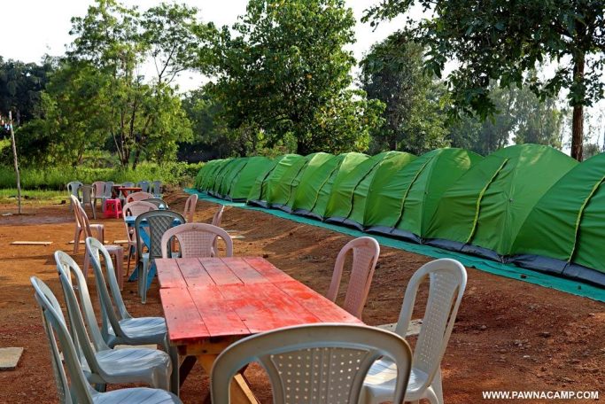 Pawna lake campsite tent in row