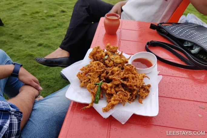 Enjoying a plate of crispy fried snacks with sauce at a lakeside retreat in Pawna, set on a red table with green grass and people relaxing nearby.