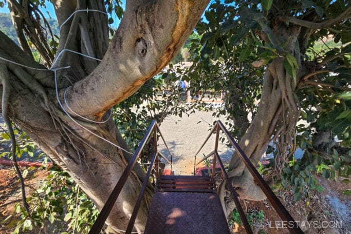 Breathtaking view of stairs leading down from a tree house, ideal for a budget stay near Pawna Lake, surrounded by lush greenery.