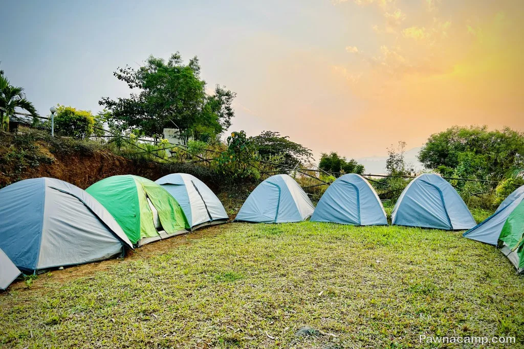 A row of colorful tents set up on grassy terrain near Pawna Lake under a vibrant sunset sky, surrounded by lush greenery, offering a serene camping experience.