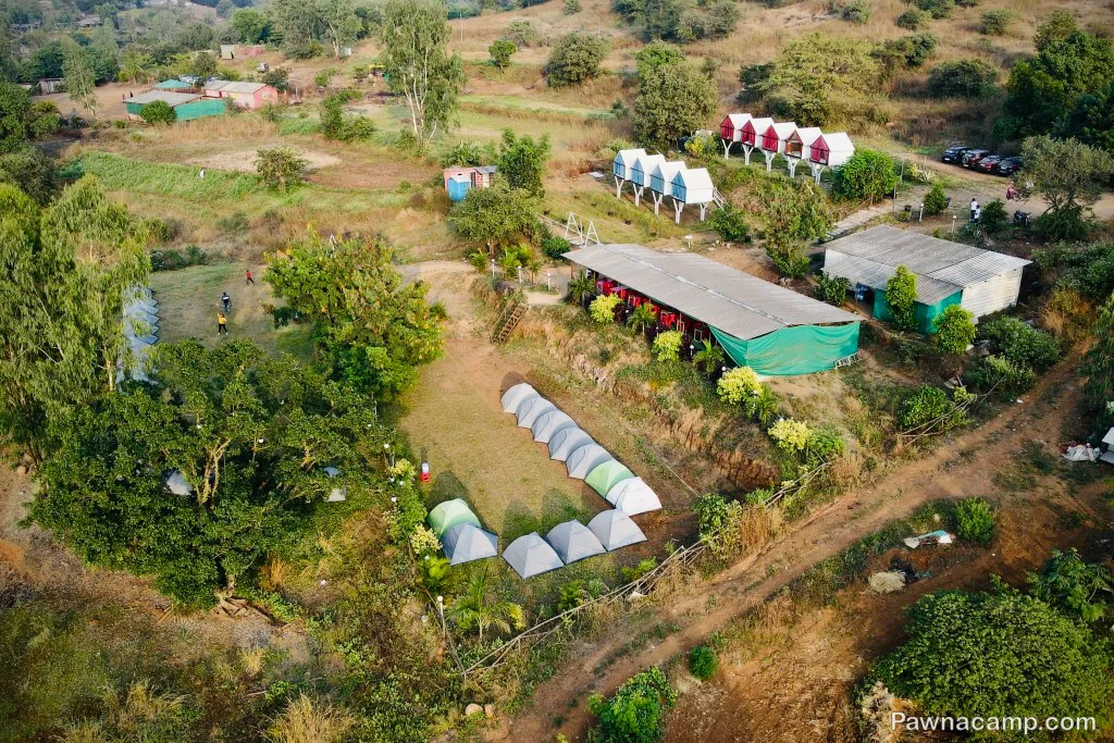 Aerial view of a campsite near Pawna Lake, featuring rows of pitched tents, small cabins, and lush greenery in a rural setting.