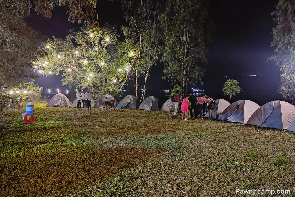A nighttime camping scene at Pawna Lake with several tents set up under a large tree adorned with lights, and people gathered around on the grassy area.