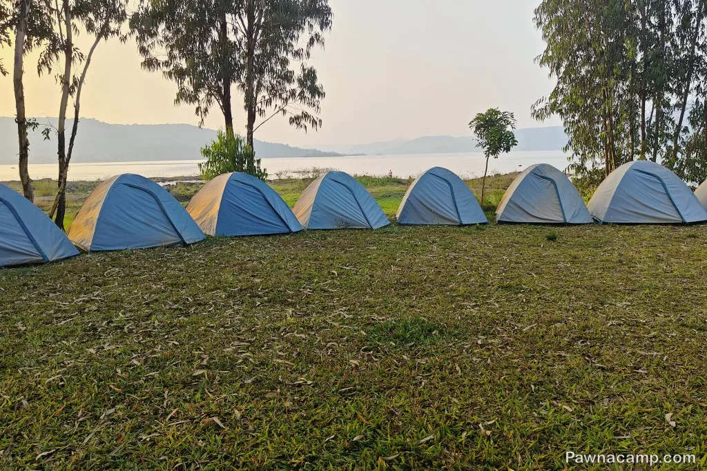 A row of blue tents set up on grassy ground near Pawna Lake, surrounded by trees, with a view of distant hills under a soft sunset glow.