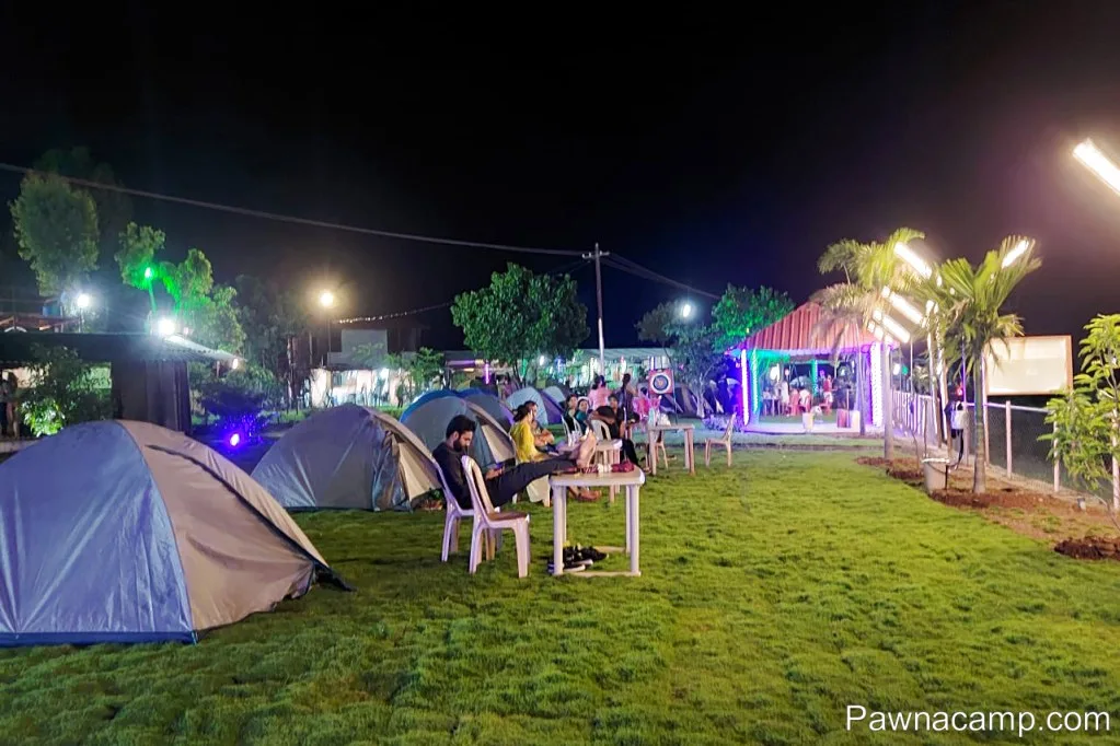 Camp - C : 31 DEC 2024 (Family Camp) - DJ Night + Live Music - Image 5
