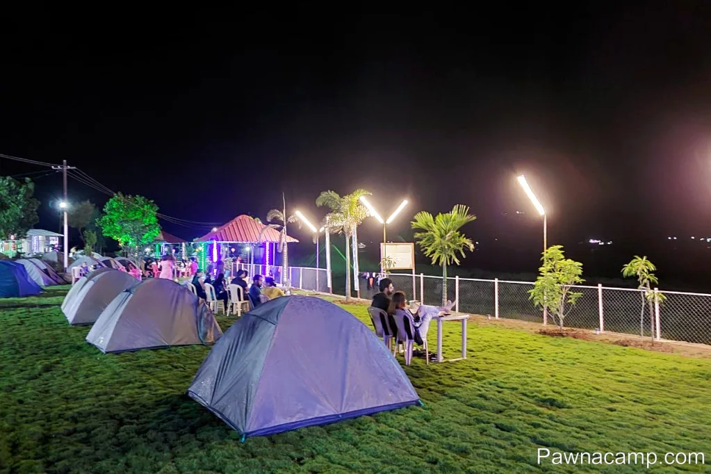 Camp - C : 31 DEC 2024 (Family Camp) - DJ Night + Live Music - Image 2