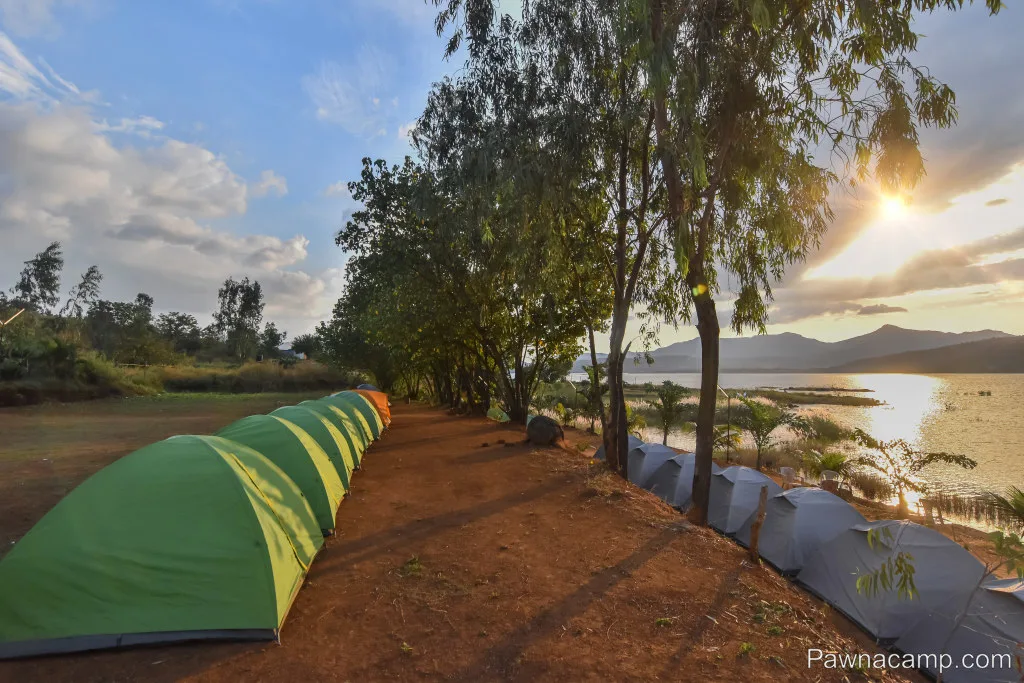 Camp - I : 31 DEC (Couples & Family Camp) - DJ Night + Live Music - Image 14