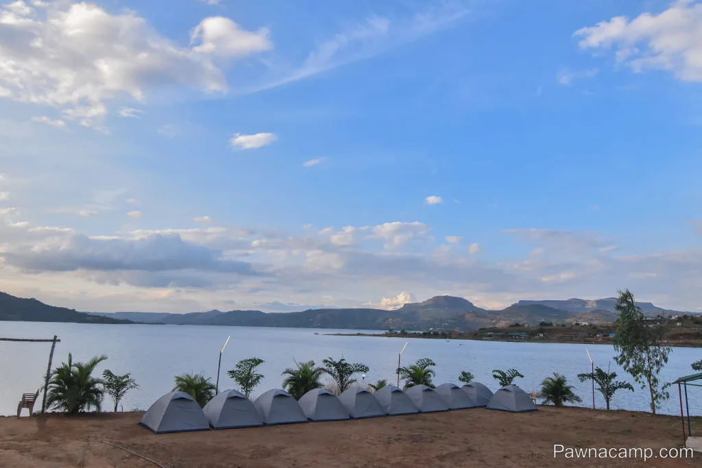 Camp - I : 31 DEC (Couples & Family Camp) - DJ Night + Live Music - Image 11