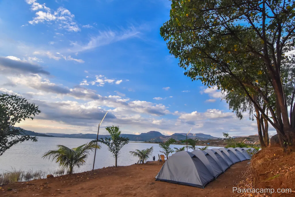 Camp - I : 31 DEC (Couples & Family Camp) - DJ Night + Live Music - Image 6