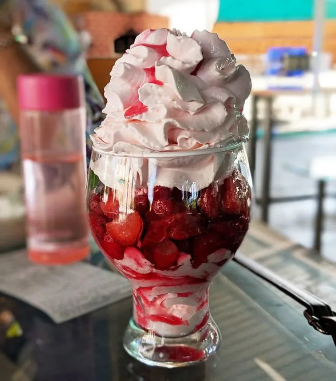 mapro garden ice cream
