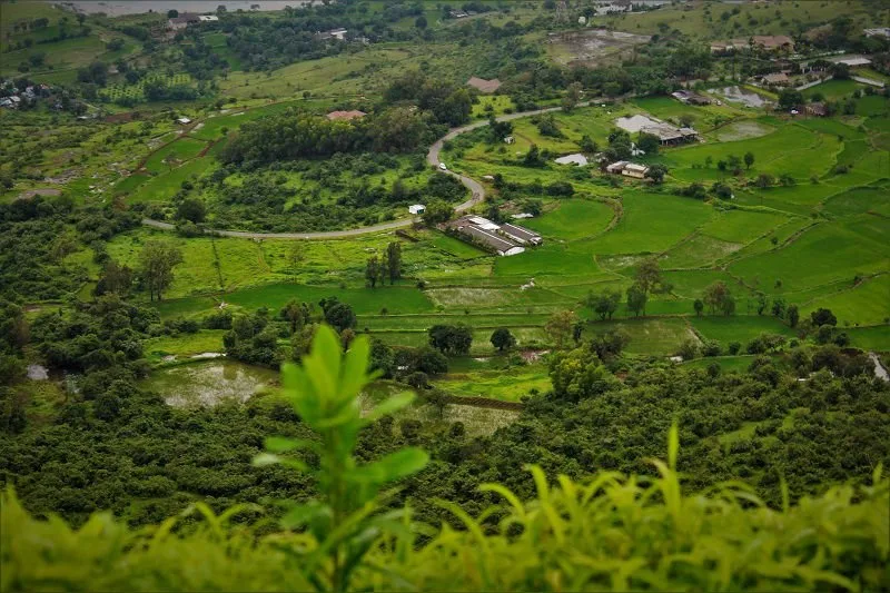pawna lake agriculture