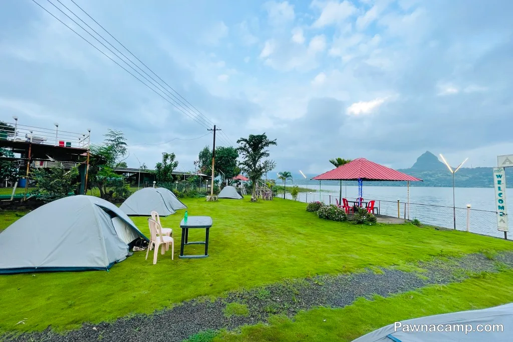 Camp - C : 31 DEC 2024 (Family Camp) - DJ Night + Live Music - Image 9