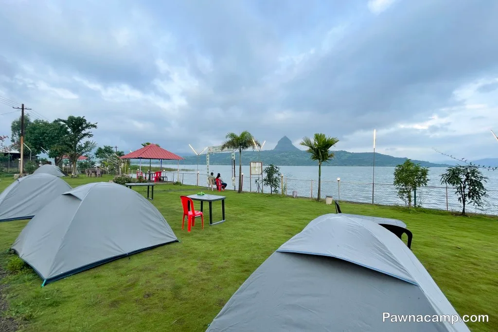Camp - C : 31 DEC 2024 (Family Camp) - DJ Night + Live Music - Image 3