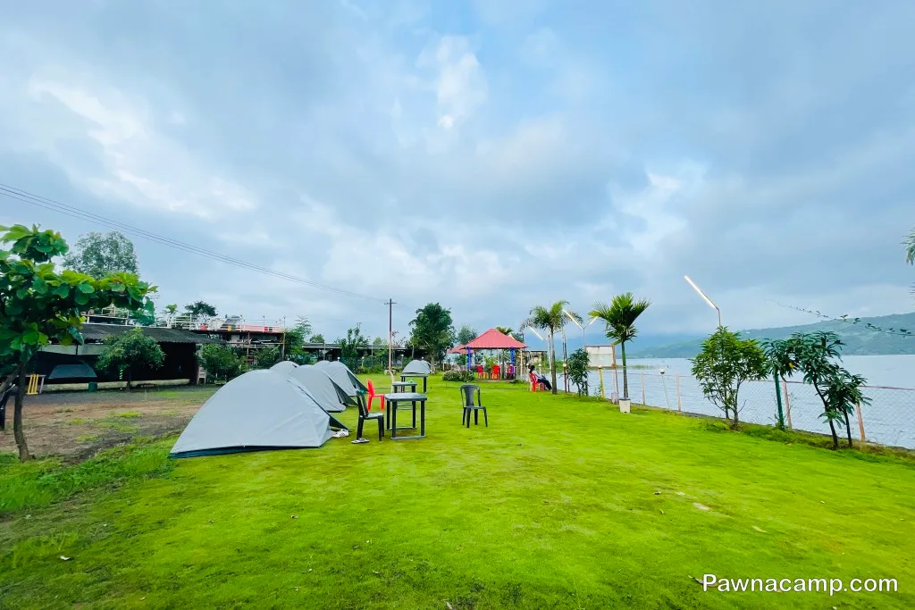 Camp - C : 31 DEC 2024 (Family Camp) - DJ Night + Live Music - Image 17