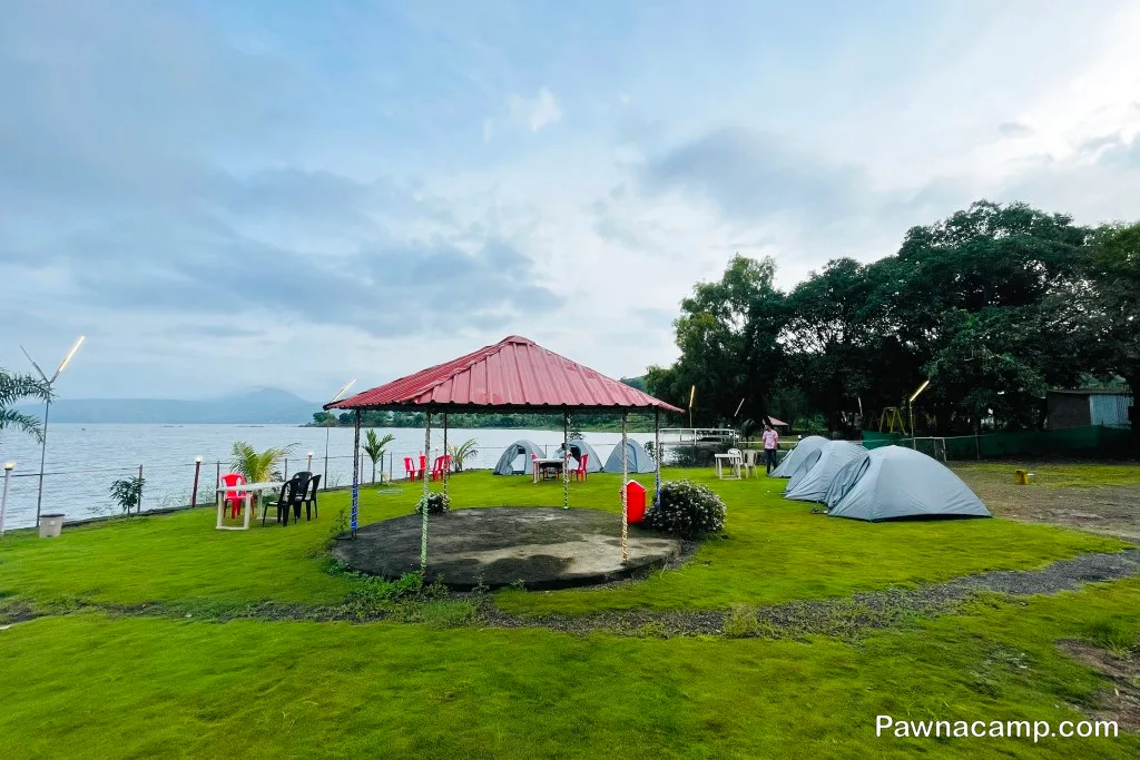 Camp - C : 31 DEC 2024 (Family Camp) - DJ Night + Live Music - Image 16