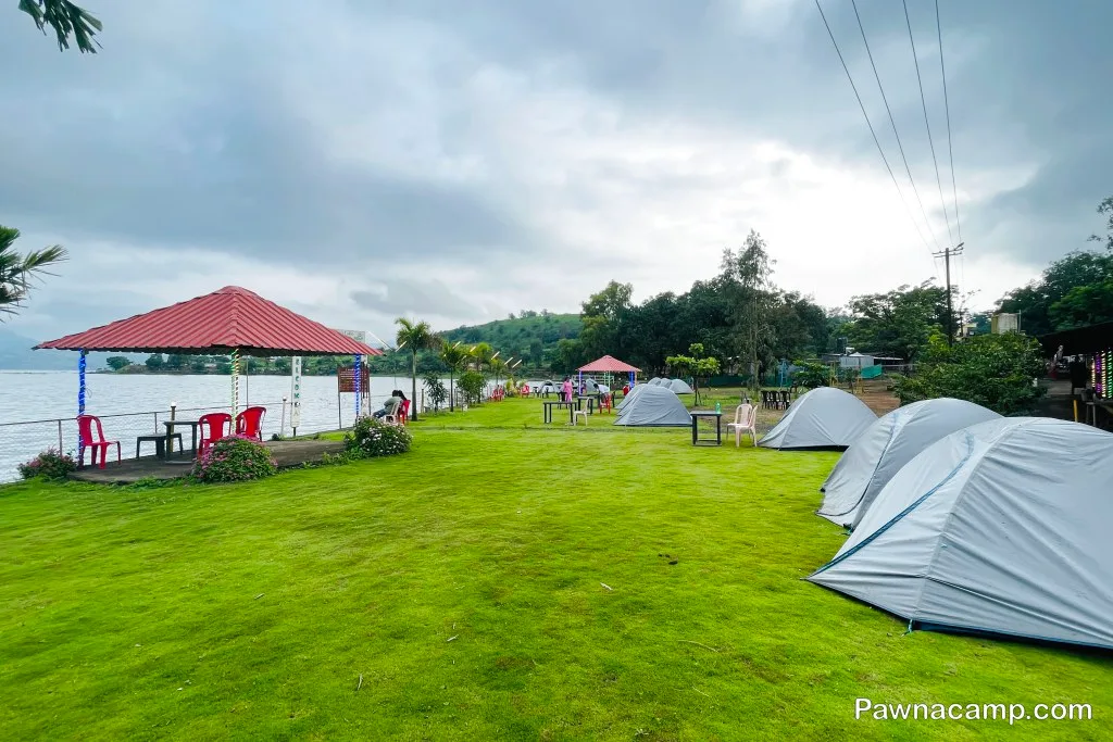 Camp - C : 31 DEC 2024 (Family Camp) - DJ Night + Live Music - Image 10