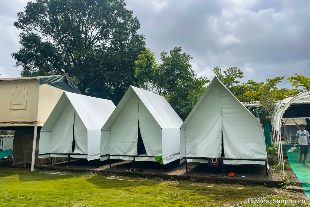 Tents set up for a stay near Pawna Lake, surrounded by lush trees and grassy ground, with cloudy sky above.