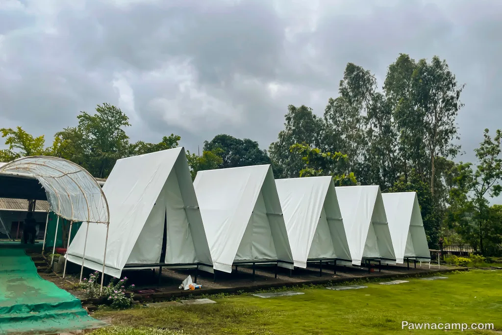 A row of triangular tents at a campsite near Pawna Lake, surrounded by greenery and trees, offering a serene stay experience.