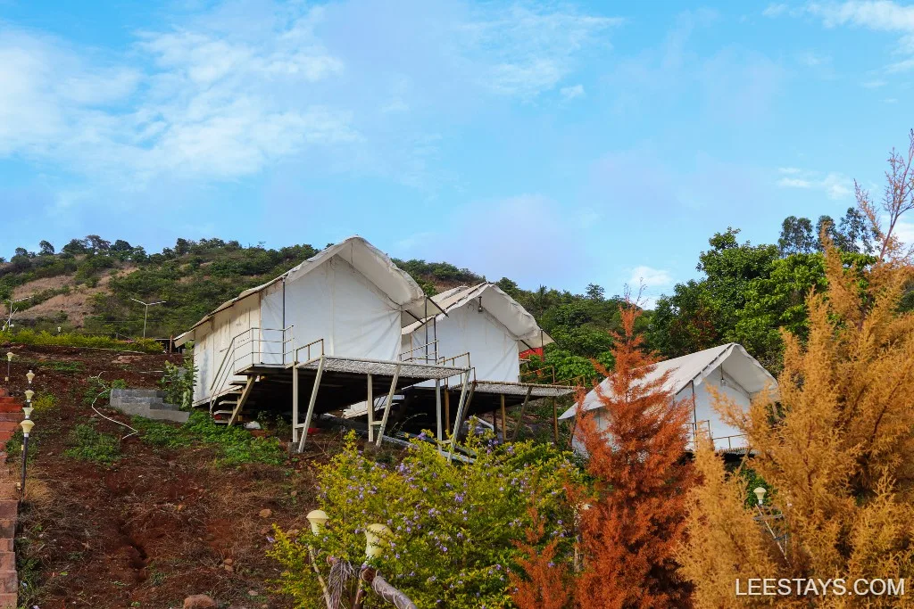Glamping tents on elevated platforms near Pawna Lake, surrounded by greenery and hills under a blue sky, providing a luxurious camping experience.